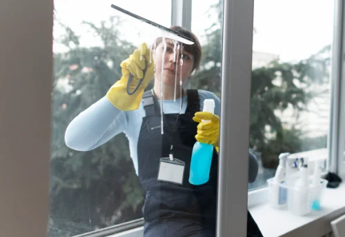 Nettoyage de vitres intérieures et extérieures à Boisredon